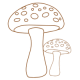 Fliegenpilz